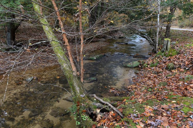 Kanawha State Forest Dam