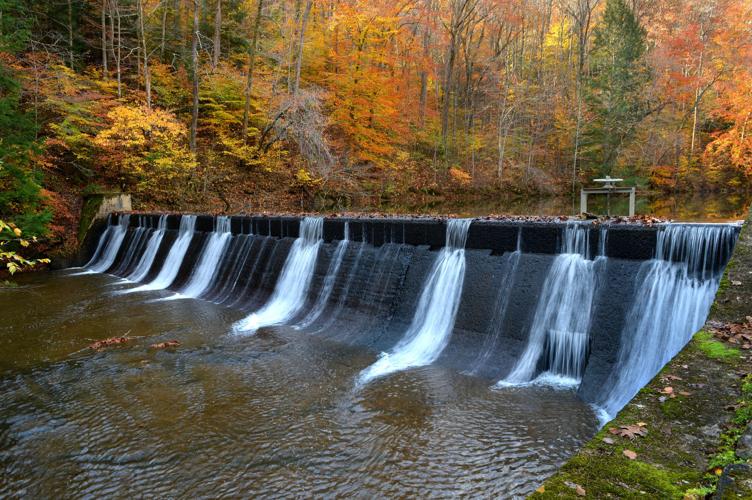 Kanawha State Forest Dam