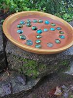 Good 2 Grow: Providing a drink for pollinators