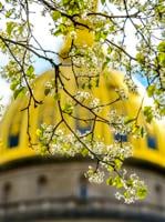 Joseph Golden: Voters should consider independent candidates (Opinion)