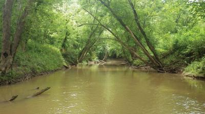 Lower Guyandotte River watershed