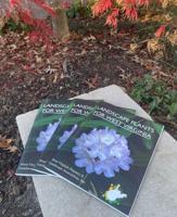 WVNLA to host Winter Symposium in Charleston