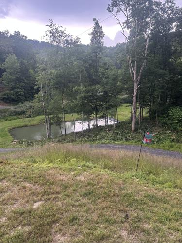 Ernest Hall's property