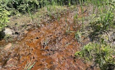 Lens Creek area seep seen