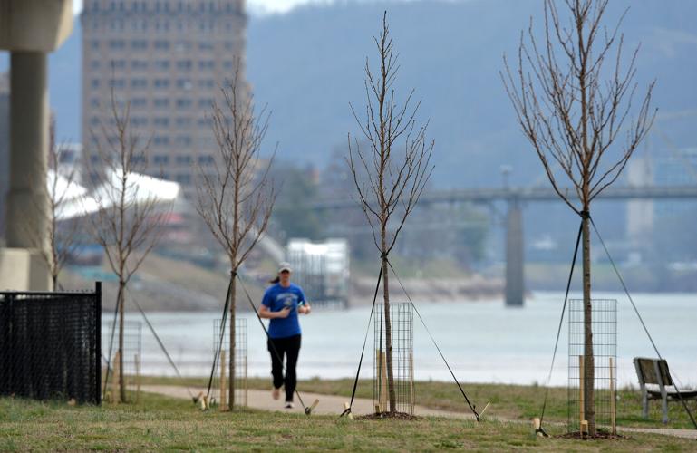 Appalachian Spring tree planting project at Magic Island